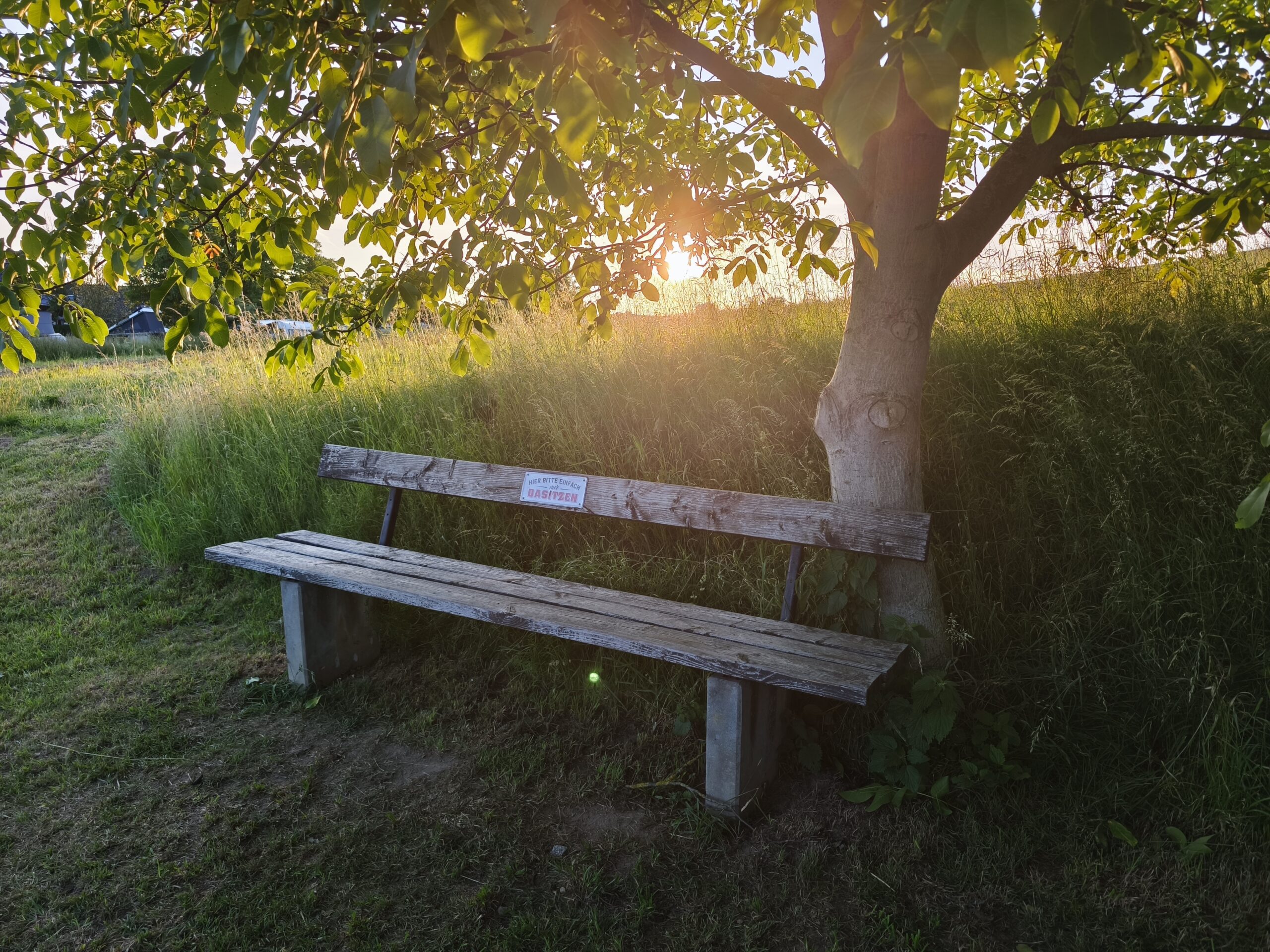 Seienswert Bank in der untergehnden Sonne- Was sind Retreats?