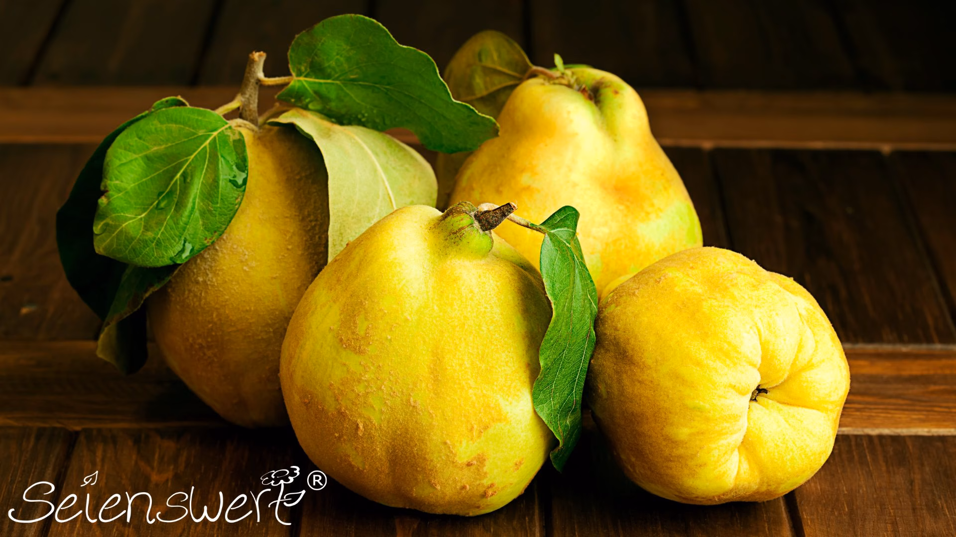 Die Quitte - Bild mit Quitten